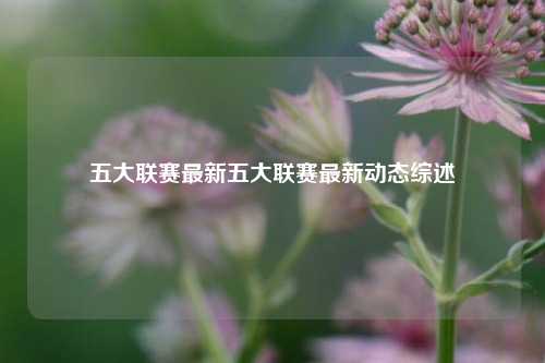五大联赛最新五大联赛最新动态综述