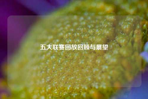 五大联赛回放回顾与展望