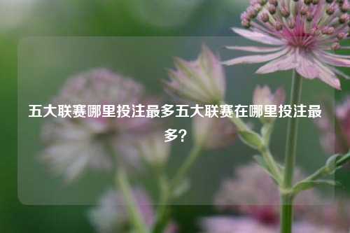五大联赛哪里投注最多五大联赛在哪里投注最多？