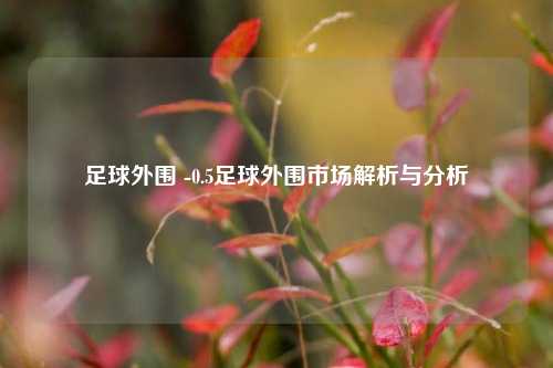 足球外围 -0.5足球外围市场解析与分析