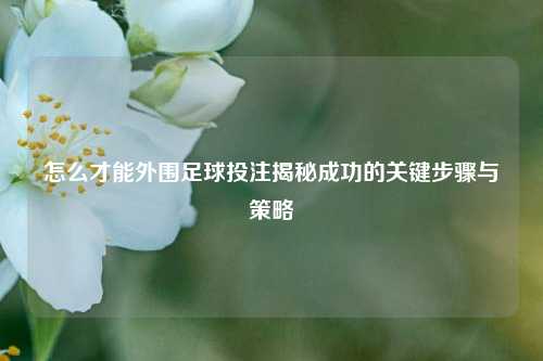 怎么才能外围足球投注揭秘成功的关键步骤与策略