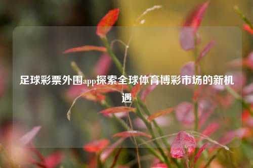 足球彩票外围app探索全球体育博彩市场的新机遇