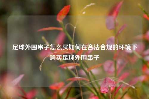 足球外围串子怎么买如何在合法合规的环境下购买足球外围串子
