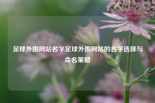 足球外围网站名字足球外围网站的名字选择与命名策略