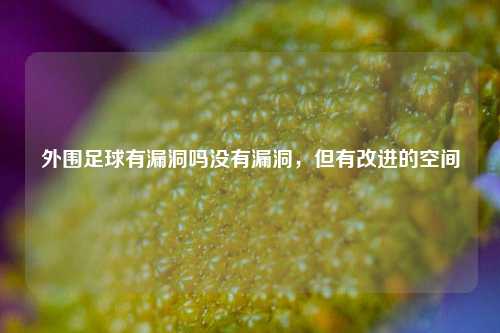 外围足球有漏洞吗没有漏洞，但有改进的空间