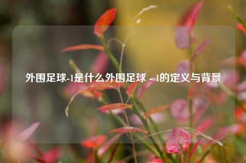 外围足球-1是什么外围足球 - 1的定义与背景