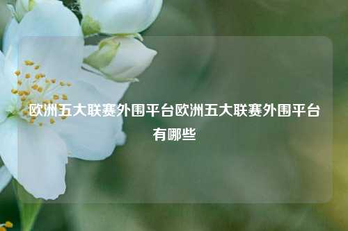 欧洲五大联赛外围平台欧洲五大联赛外围平台有哪些