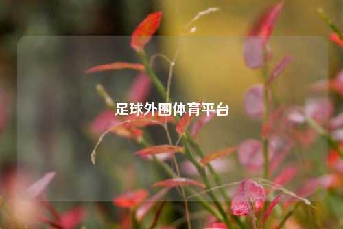 足球外围体育平台