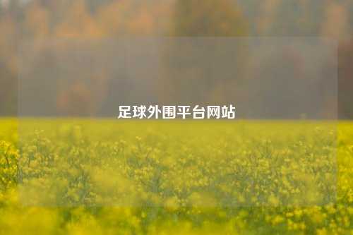 足球外围平台网站