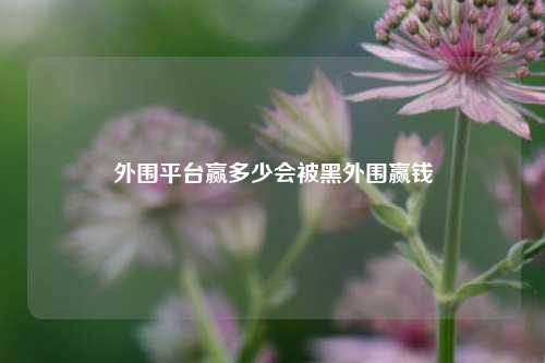 外围平台赢多少会被黑外围赢钱