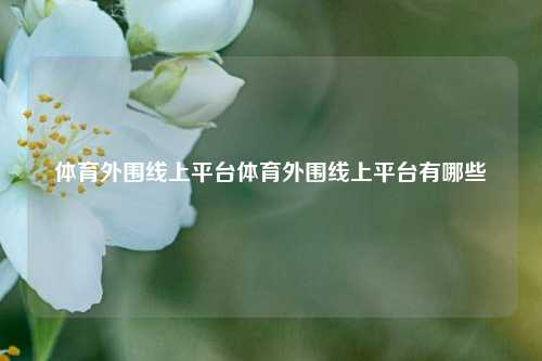 体育外围线上平台体育外围线上平台有哪些