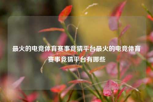 最火的电竞体育赛事竞猜平台最火的电竞体育赛事竞猜平台有哪些