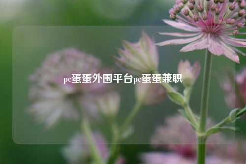 pc蛋蛋外围平台pc蛋蛋兼职
