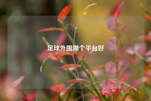 足球外围哪个平台好