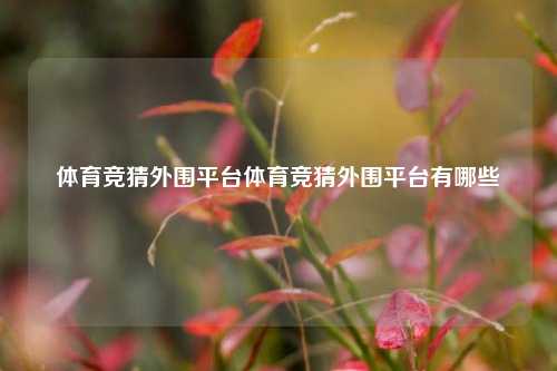 体育竞猜外围平台体育竞猜外围平台有哪些