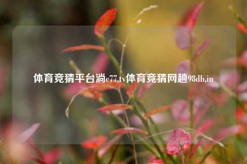 体育竞猜平台淌c77,tv体育竞猜网趟98db,in