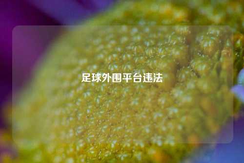 足球外围平台违法