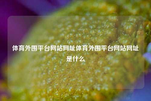体育外围平台网站网址体育外围平台网站网址是什么