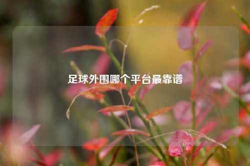 足球外围哪个平台最靠谱