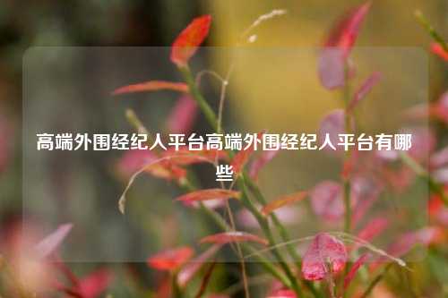 高端外围经纪人平台高端外围经纪人平台有哪些