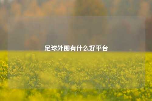 足球外围有什么好平台
