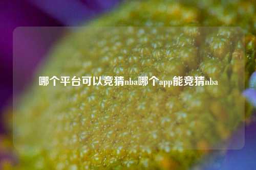 哪个平台可以竞猜nba哪个app能竞猜nba
