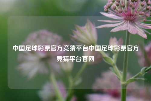 中国足球彩票官方竞猜平台中国足球彩票官方竞猜平台官网