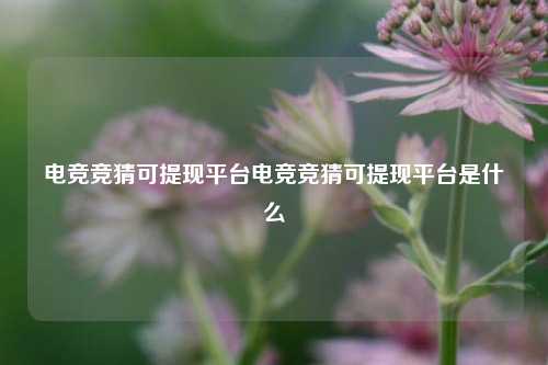 电竞竞猜可提现平台电竞竞猜可提现平台是什么