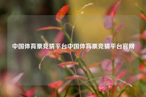中国体育票竞猜平台中国体育票竞猜平台官网