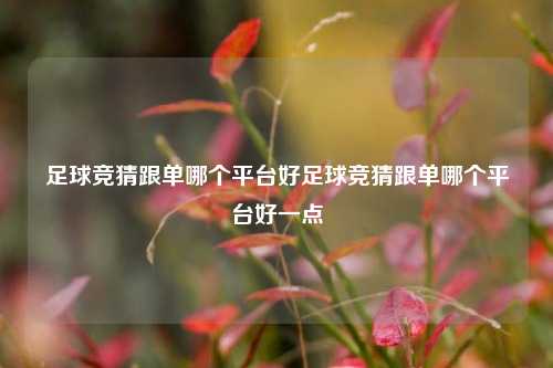 足球竞猜跟单哪个平台好足球竞猜跟单哪个平台好一点