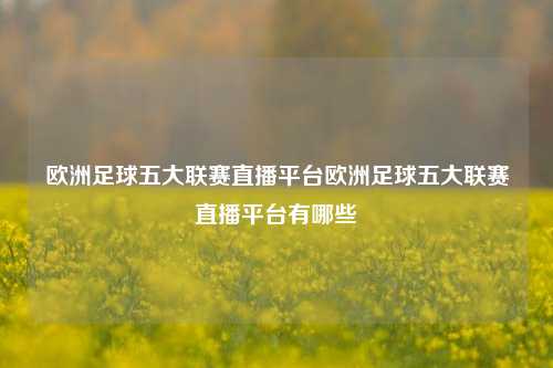 欧洲足球五大联赛直播平台欧洲足球五大联赛直播平台有哪些