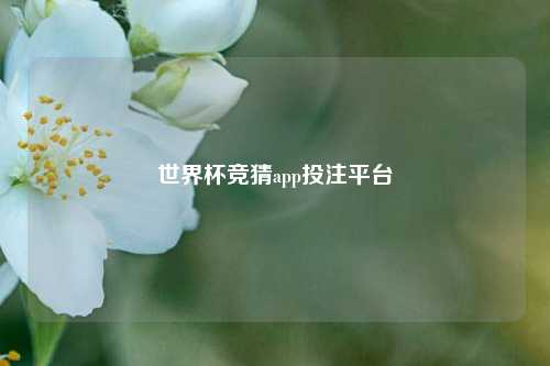 世界杯竞猜app投注平台