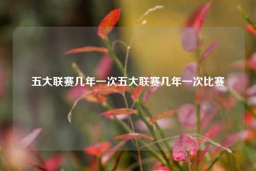 五大联赛几年一次五大联赛几年一次比赛