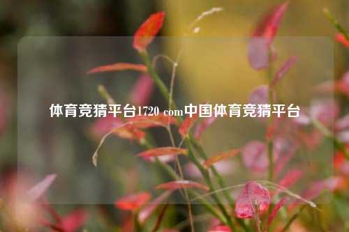 体育竞猜平台1720.com