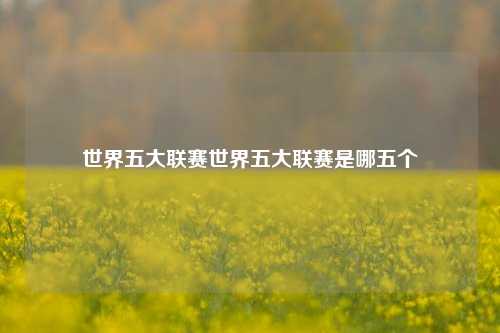 世界五大联赛世界五大联赛是哪五个