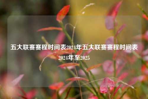 五大联赛赛程时间表2024年五大联赛赛程时间表2024年至2025