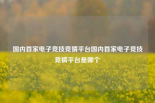 国内首家电子竞技竞猜平台国内首家电子竞技竞猜平台是哪个