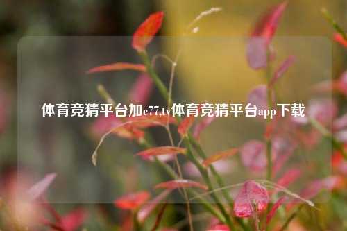 体育竞猜平台加c77,tv体育竞猜平台app下载