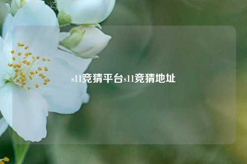 s11竞猜平台s11竞猜地址