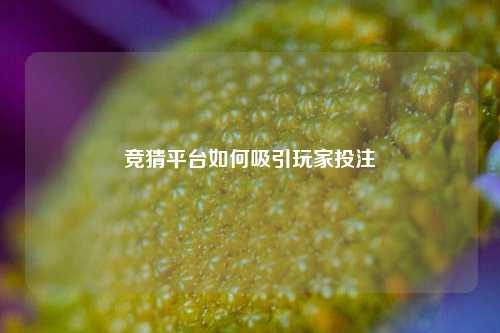 竞猜平台如何吸引玩家投注