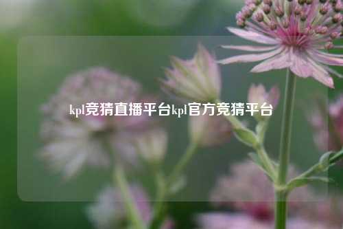 KPL竞猜直播平台KPL官方竞猜平台