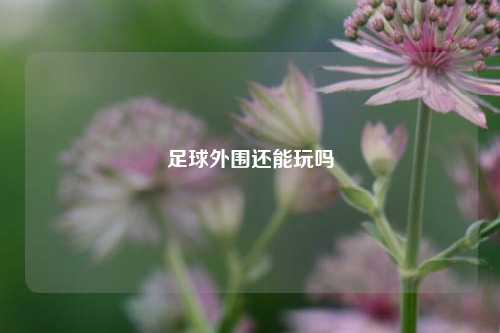 足球外围还能玩吗