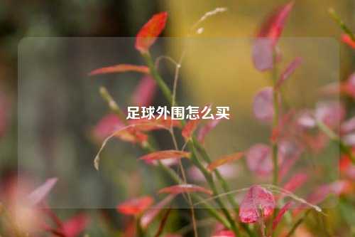 足球外围怎么买
