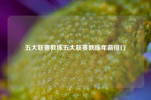 五大联赛教练五大联赛教练年薪排行