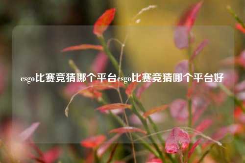 csgo比赛竞猜哪个平台csgo比赛竞猜哪个平台好