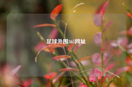 足球外围365网址