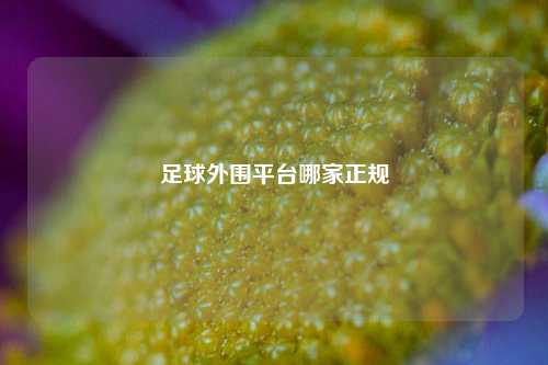 足球外围平台哪家正规