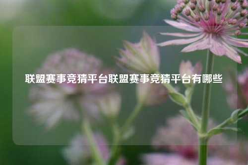 联盟赛事竞猜平台联盟赛事竞猜平台有哪些