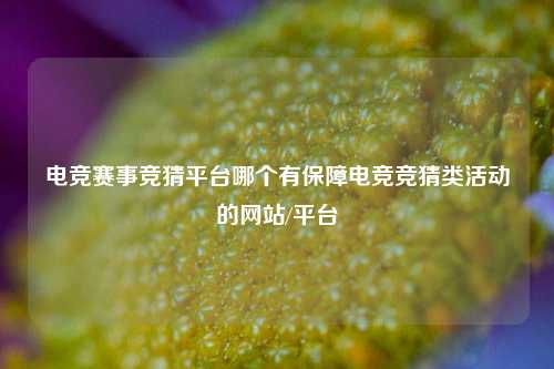 电竞赛事竞猜平台哪个有保障电竞竞猜类活动的网站/平台