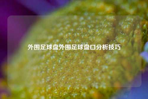 外围足球盘外围足球盘口分析技巧
